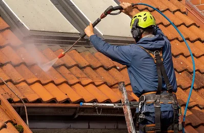 Démoussage et hydrofuge de toiture à Chamousset